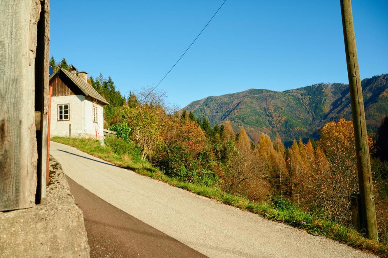 Romantische Ferienhuette Nationalpark Kalkalpen, Sonnig, 2 Schlafzimmer, Wlan Kleinreifling Exterior foto