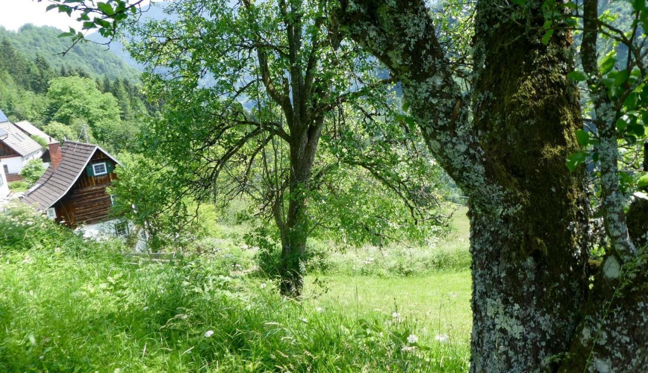Romantische Ferienhuette Nationalpark Kalkalpen, Sonnig, 2 Schlafzimmer, Wlan Kleinreifling Exterior foto